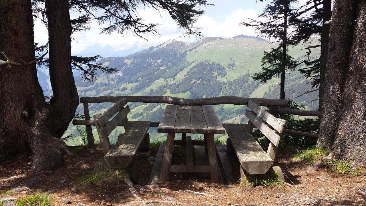 Fruehstueckpension Larson Bad Hofgastein Ngoại thất bức ảnh